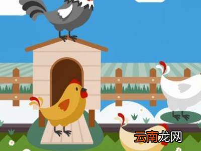 怎么孵蛋
