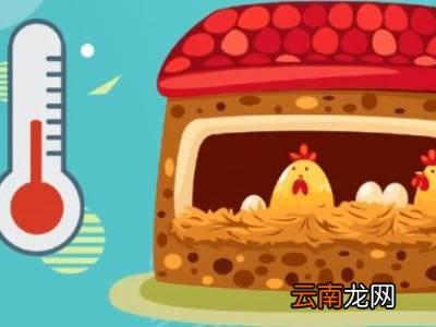 怎么孵蛋