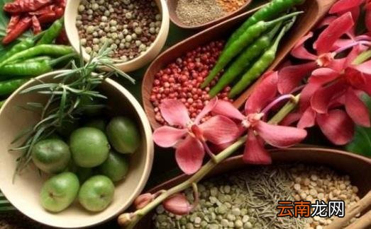 想要科学养生 食疗养生是很好的养生方式