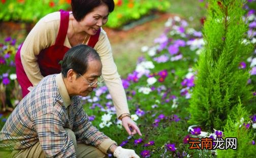 夏天是补肾好时机 中医教你冬病夏养养出好阳气