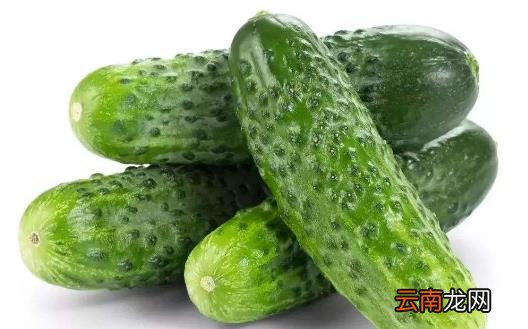难熬的高温天气 降暑时该出汗时就出汗