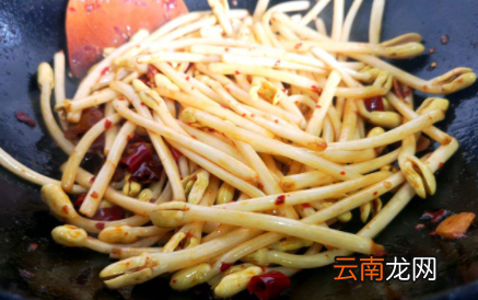 花生怎样生花生芽-花生芽可以吃吗作用如何