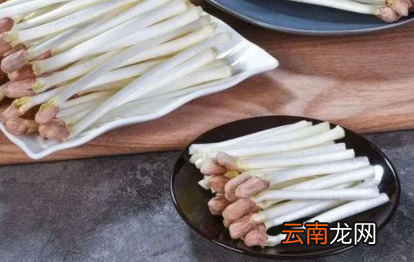 花生怎样生花生芽-花生芽可以吃吗作用如何