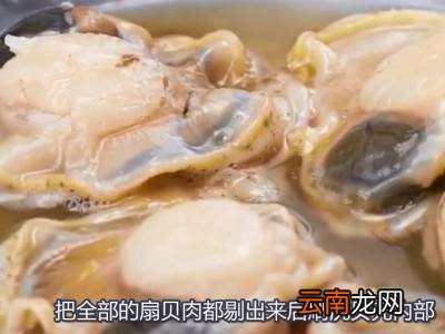 扇贝如何处理干净