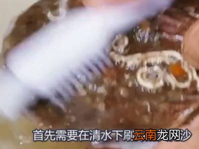 扇贝如何处理干净