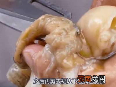 扇贝如何处理干净