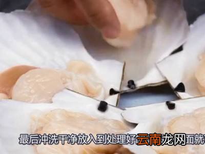 扇贝如何处理干净