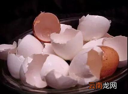 鸡蛋壳的生活小窍门大全