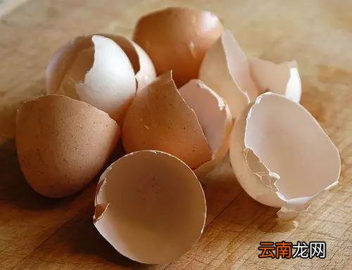 鸡蛋壳的生活小窍门大全