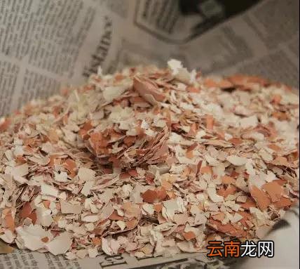 鸡蛋壳的生活小窍门大全