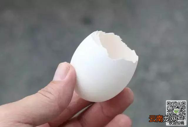 鸡蛋壳的生活小窍门大全