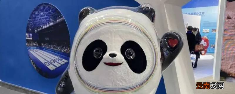 冰墩墩怎么突然火了