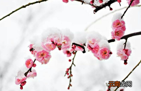 躲春相冲的属相在同一房子不同房间可以吗-躲春相冲的属相不能见面吗