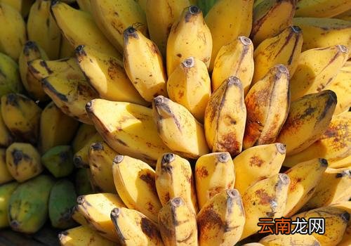 空腹可以吃芭蕉吗,空腹吃芭蕉有什么危害