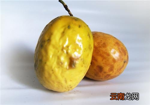 鸡蛋果怎么催熟 鸡蛋果如何判断成熟