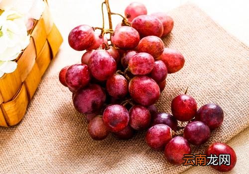 提子没熟能吃吗,提子变软还能吃吗