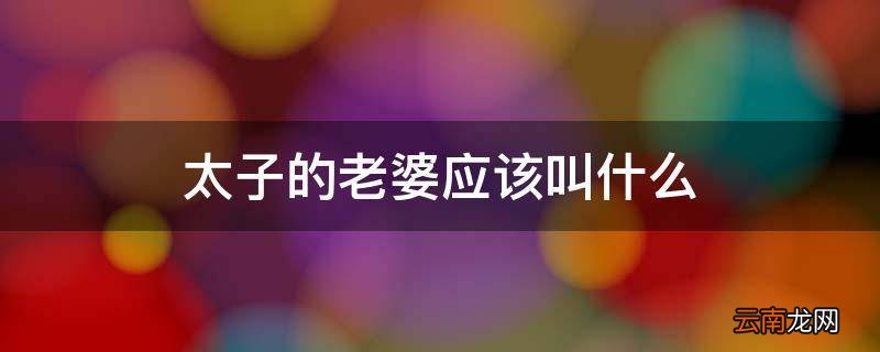 太子的老婆应该叫什么