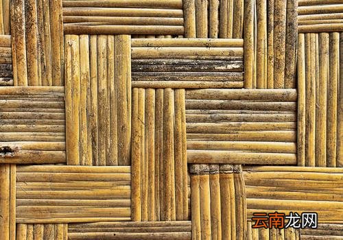凉席会生虫子吗,凉席生虫子怎么处理