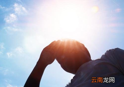 三伏天如何预防中暑,三伏天中暑了怎么办