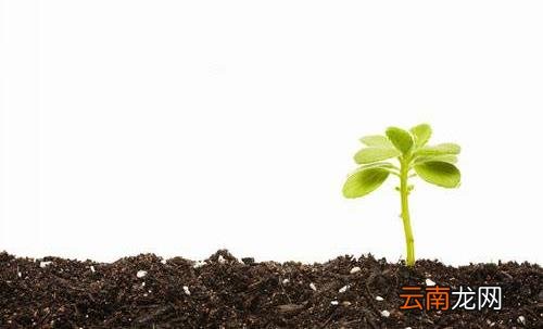 一年之计在于春，不得不知的春季养生常识