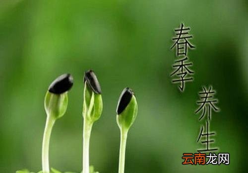 一年之计在于春，不得不知的春季养生常识