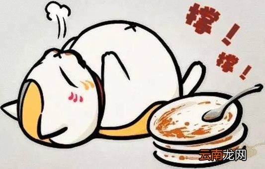 怎么做才能养胃？养胃的方法有哪些