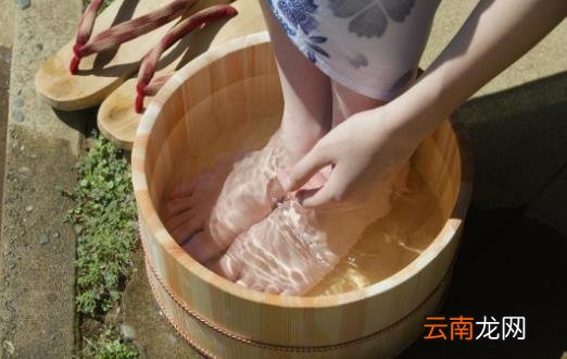 艾叶的功效 中医大夫教你用艾叶和黑眼圈说拜拜