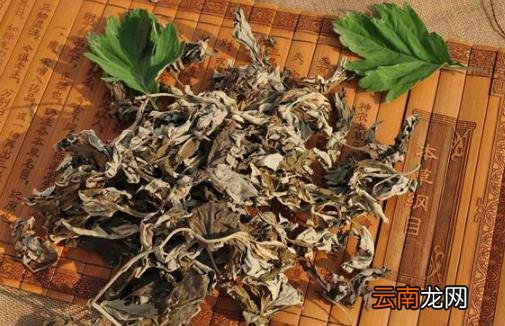艾叶的功效 中医大夫教你用艾叶和黑眼圈说拜拜