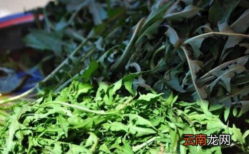 春吃蔬菜养生保健 介绍几种蔬菜延年益寿防病治病