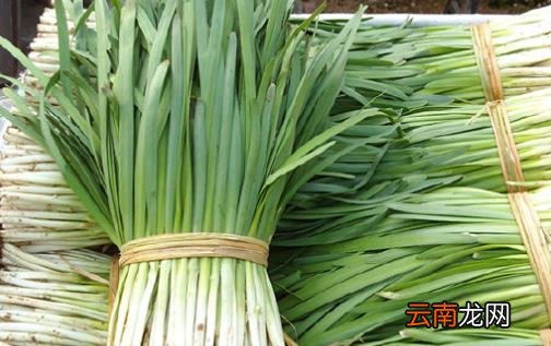 春吃蔬菜养生保健 介绍几种蔬菜延年益寿防病治病