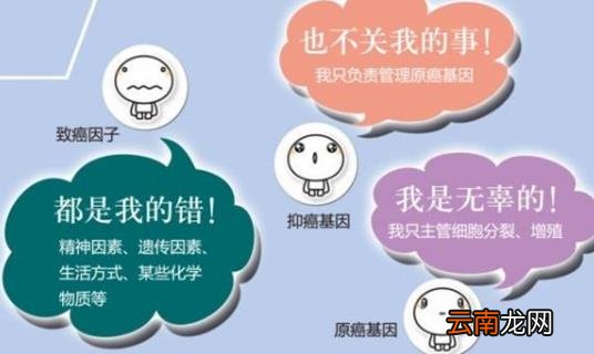 45岁后还有这6个特征的人 可能是“癌症免疫体”
