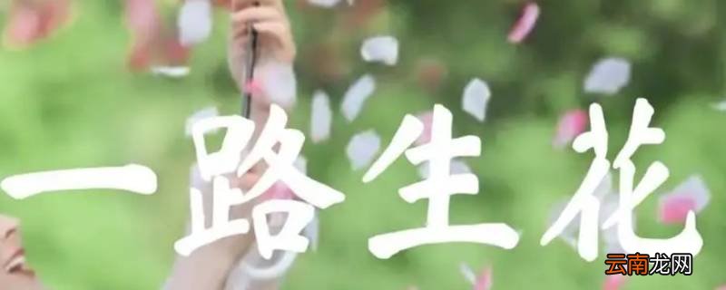 一路生花寓意是什么
