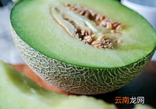 哈密瓜怎么挑甜的 教你8招一眼就能挑中甜瓜