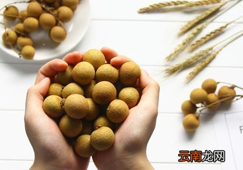 龙眼可以放冰箱吗 龙眼放冰箱能放多久