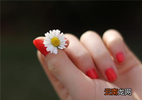 手上起小水泡怎么回事 手上起小水泡痒怎么办