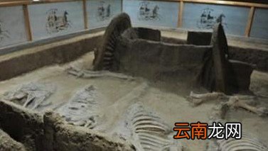 上古时期的恐怖殉葬制度，残忍到令人发指