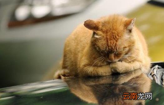春天总爱犯困别大意提神补充能量吃这些