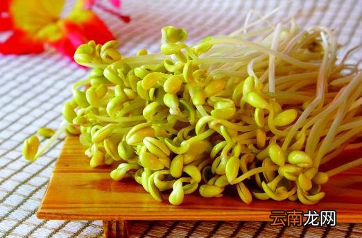春天清火必吃的六种食物推荐