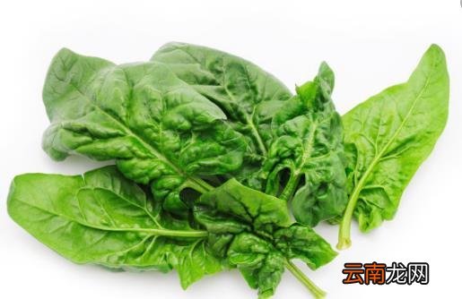 春天清火必吃的六种食物推荐