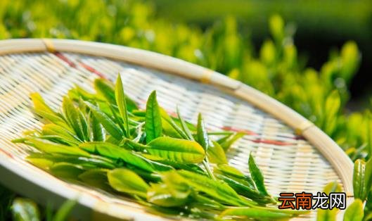 春分养生必吃的3款美食