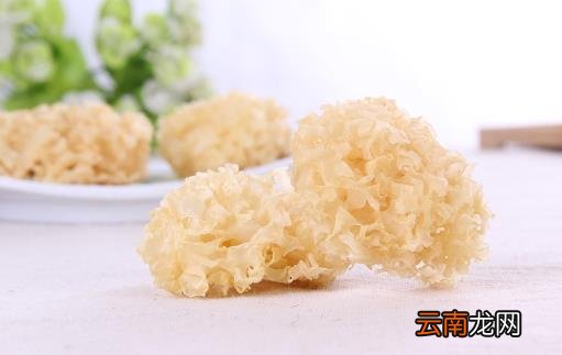 春季干燥易上火 饮食要注意