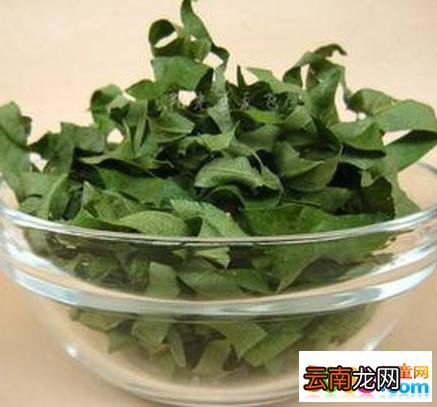 柿子叶的功效与作用有哪些_柿子叶泡茶的方法
