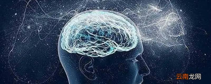 人的脑电波能互相感应吗