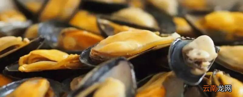 海虹颜色为什么不一样