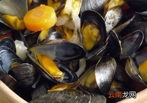 淡菜干怎么泡发,淡菜哪些部位不能吃