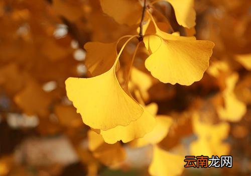 立秋后多久凉快,广东立秋后还会很热吗