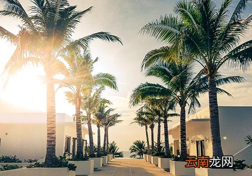 立秋后多久凉快,广东立秋后还会很热吗