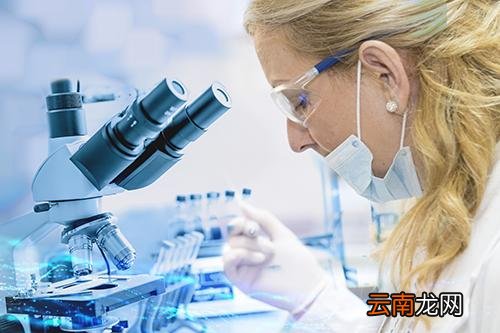 狗身上有蜱虫怎么办,狗身上的蜱虫怎么去除