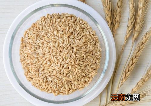 生燕麦可以直接吃吗 生燕麦怎么吃好吃