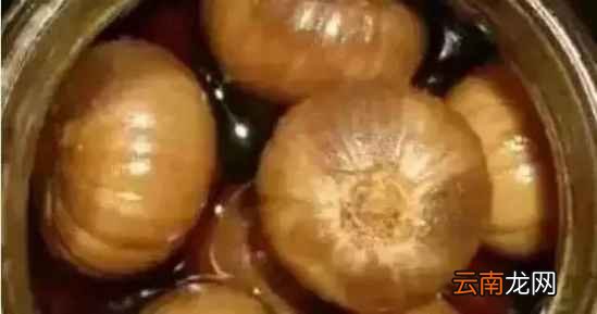 蜂蜜的作用与功效 这样运用便能健康长寿